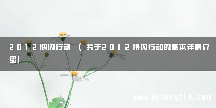 2012快闪行动 (关于2012快闪行动的基本详情介绍)